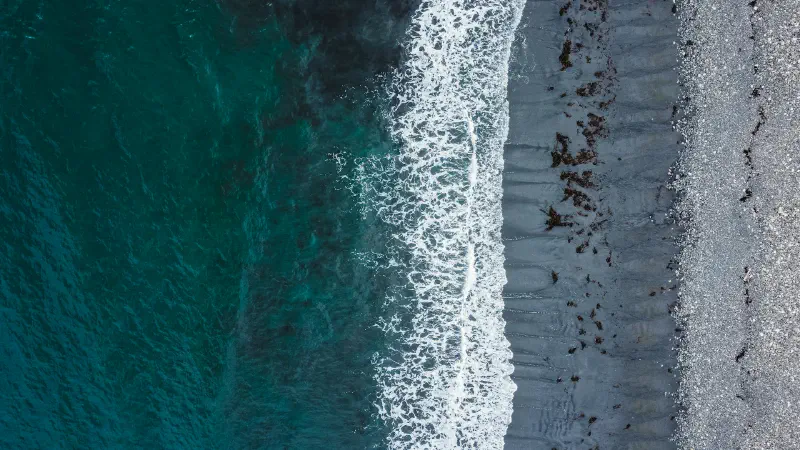 Featured image of post La contemplation des signes d'Allah dans la création