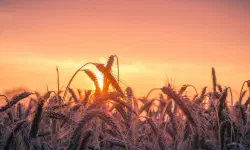 Featured image of post L'acquittement de la Zakat et l'aumône