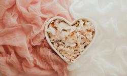 Featured image of post Le coeur est la base