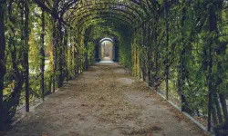 Featured image of post Ramadan, mois de la demande de pardon