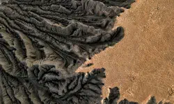 Featured image of post Ramadan, mois de la piété